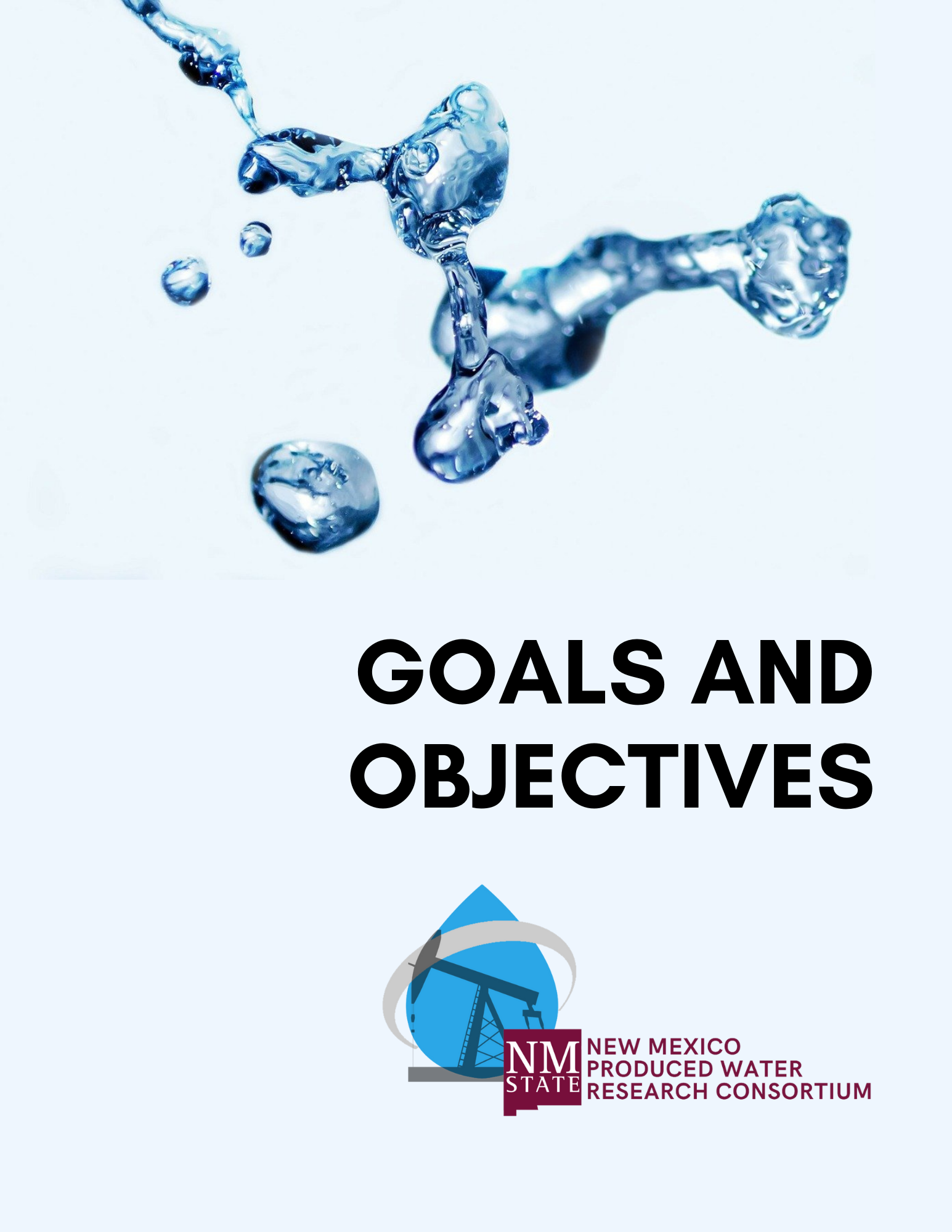 NMPWRC Goals and Objectives cover image