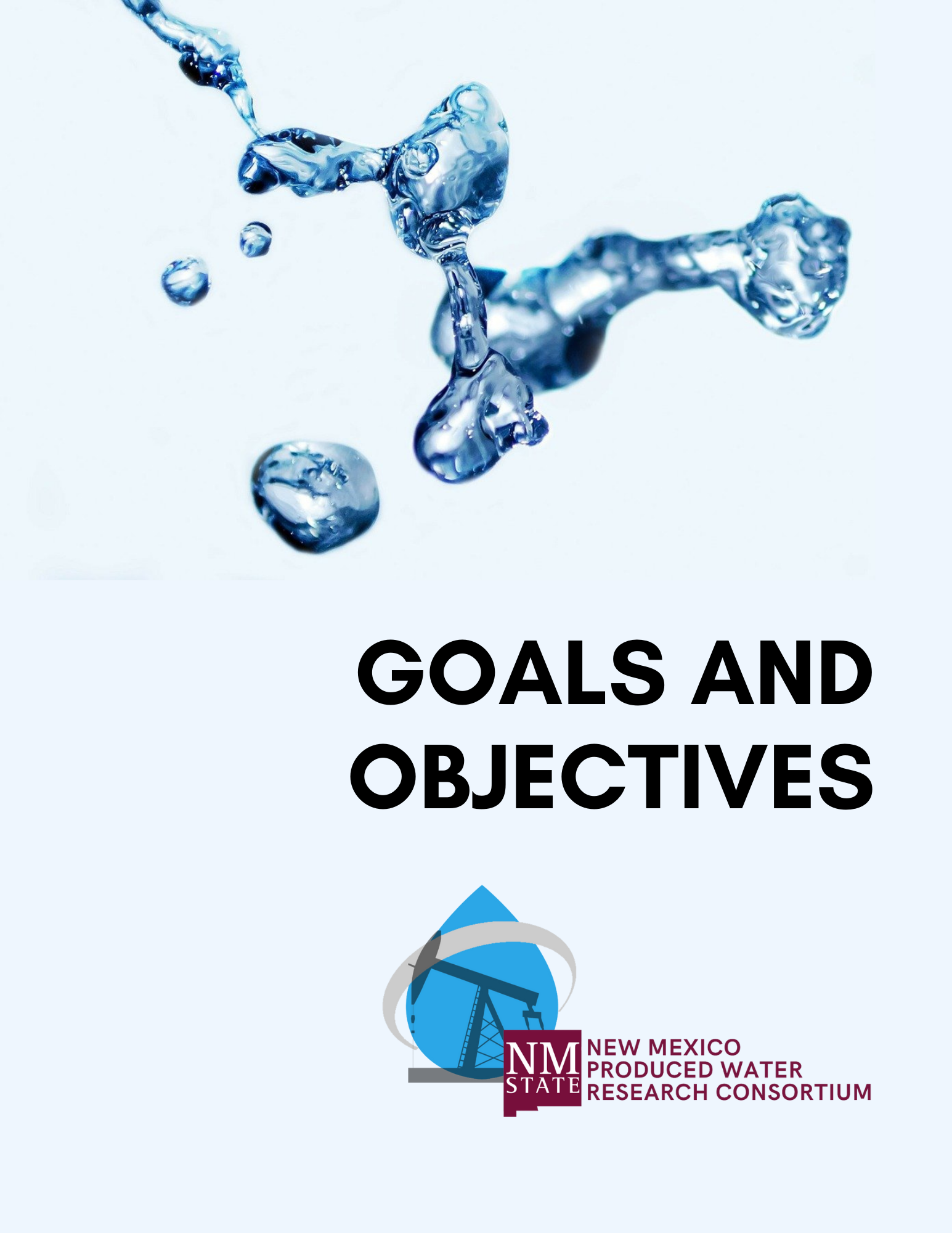 NMPWRC-Goals-and-Objectives