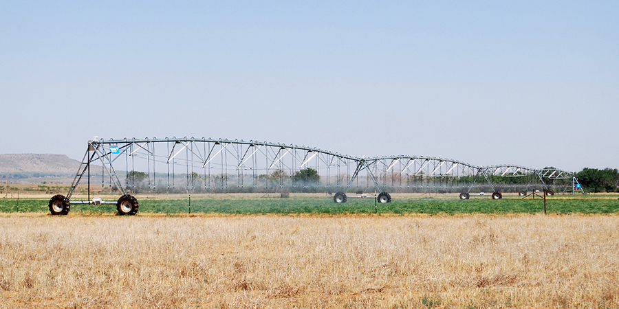 a sprinkler system in a field of crops